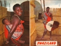 swazi-1